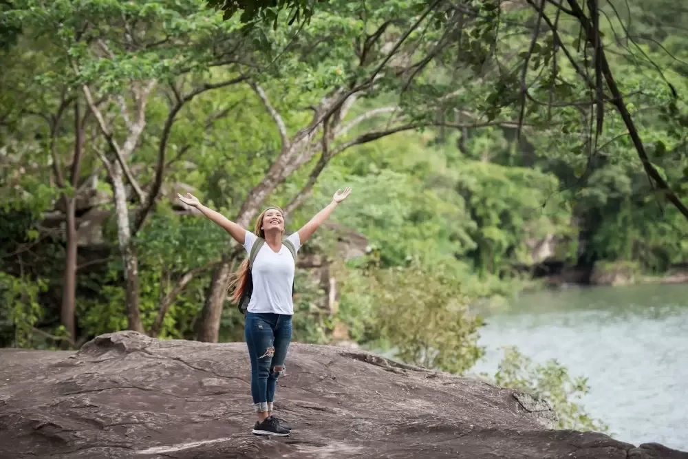 Empowering Life Transition Counselling for Positive Change